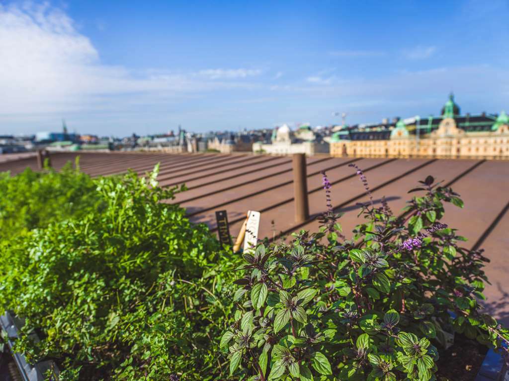 เรดิสัน คอลเลคชั่น สแตรนด์ โฮเต็ล สต็อกโฮล์ม Hotel ภายนอก รูปภาพ Rooftop garden